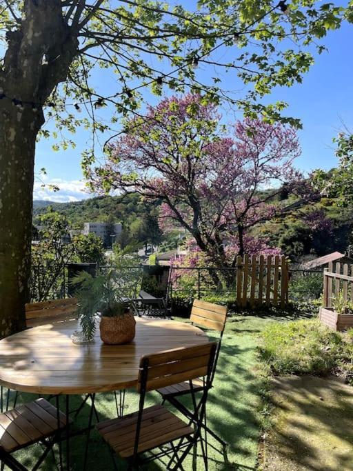 Maison Avec Jardin Dans Domaine Des Crozes Vienne  Ngoại thất bức ảnh