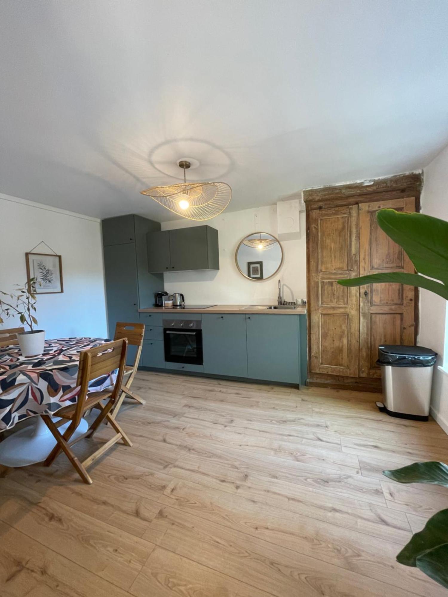 Maison Avec Jardin Dans Domaine Des Crozes Vienne  Ngoại thất bức ảnh
